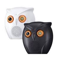 Smart Owl Design Wi-Fi Security Camera 5MP with Night Vision