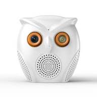 Smart Owl Design Wi-Fi Security Camera 5MP with Night Vision